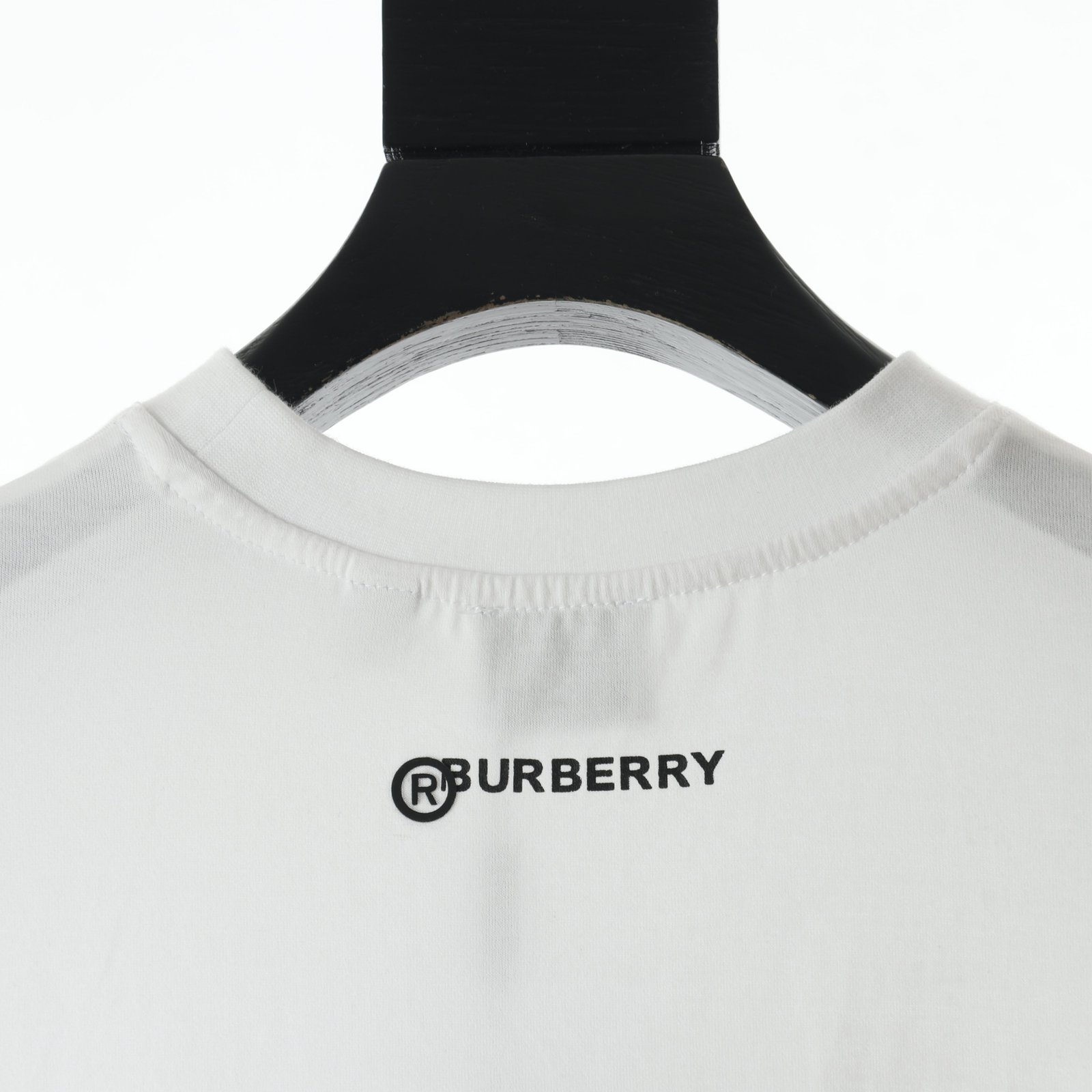 6EF207D6-936C-7588-88B4-13C4A2477119